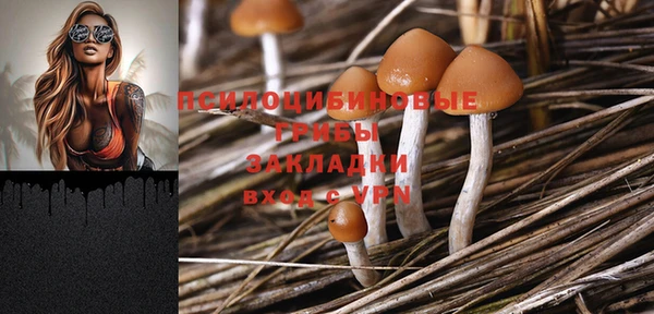 спайс Карпинск
