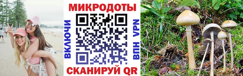 Купить  Калач  Галлюциногенные грибы MAGIC MUSHROOMS 